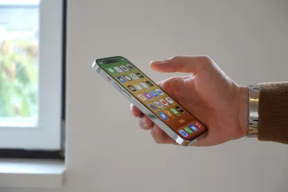 BitVegas Casino Mobil App